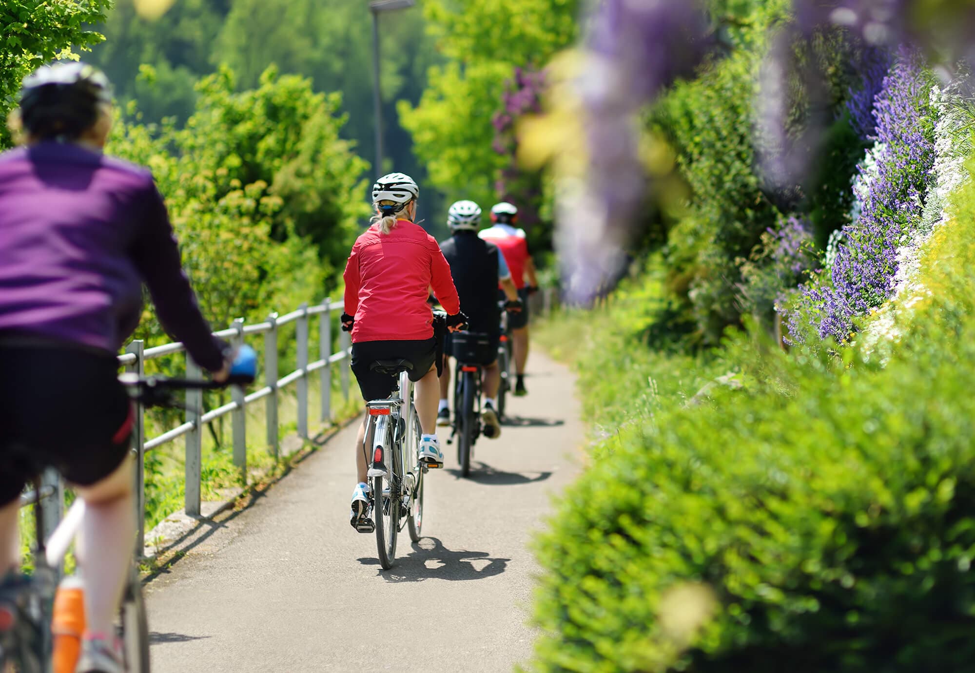 Noleggio e Tour in bicicletta